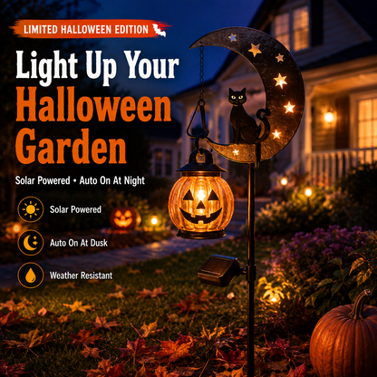 2026-! ! !🔥59% OFF TODAY 👻 Solar Halloween Garden Stake Light with Black Cat & Pumpkin