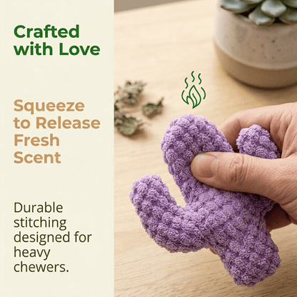 🔥5pcs Handmade Soft Cactus Kitten Chew Toys with Natural Catnip