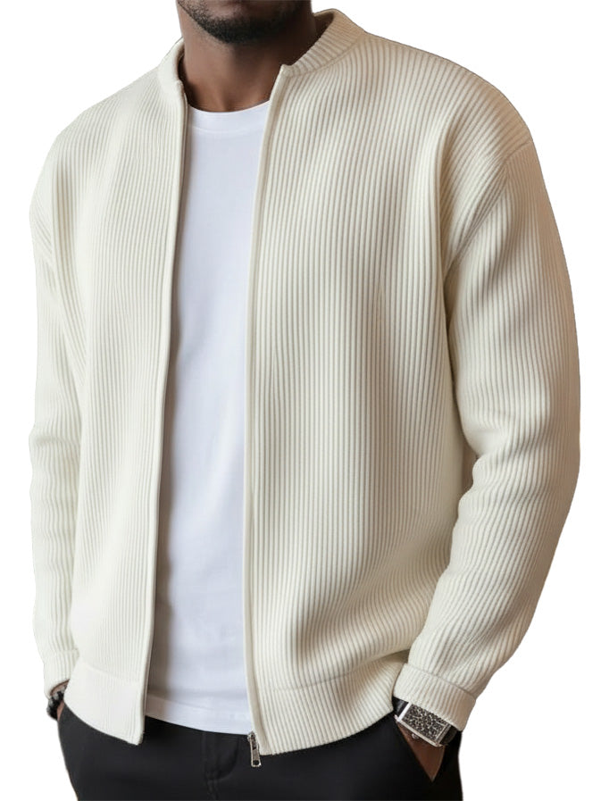 🔥2026 HOT SEAL ! ! !🔥Men's Simple Casual Ribbed Stand Collar Zipper  Long Sleeved Jacket