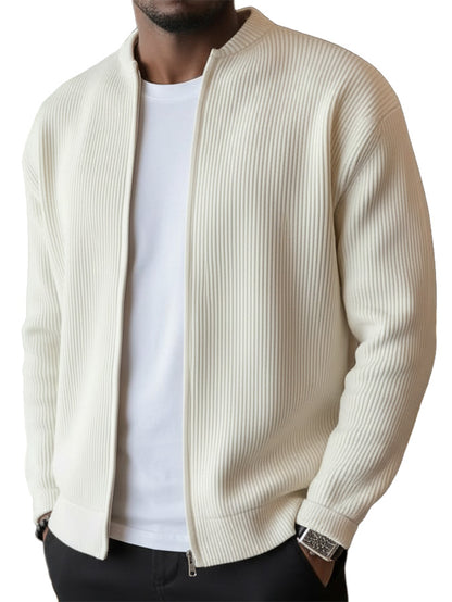 🔥2026 HOT SEAL ! ! !🔥Men's Simple Casual Ribbed Stand Collar Zipper  Long Sleeved Jacket