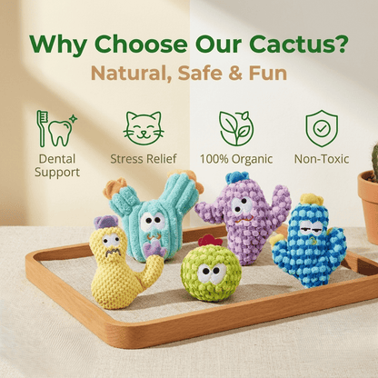 🔥5pcs Handmade Soft Cactus Kitten Chew Toys with Natural Catnip