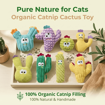 🔥5pcs Handmade Soft Cactus Kitten Chew Toys with Natural Catnip