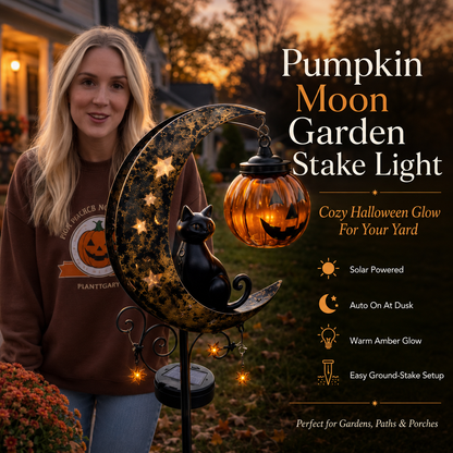 2026-! ! !🔥59% OFF TODAY 👻 Solar Halloween Garden Stake Light with Black Cat & Pumpkin