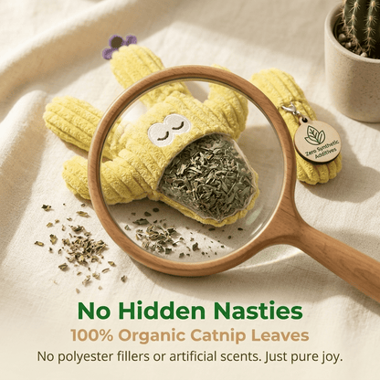 🔥5pcs Handmade Soft Cactus Kitten Chew Toys with Natural Catnip